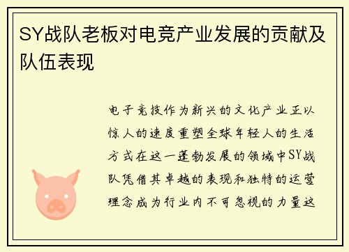SY战队老板对电竞产业发展的贡献及队伍表现
